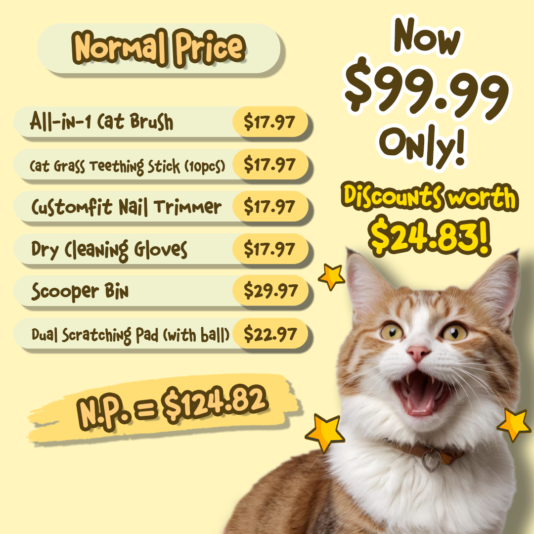 New Cat Owner Bundle