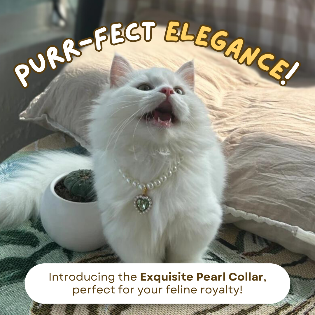 Cat Pearl Collar