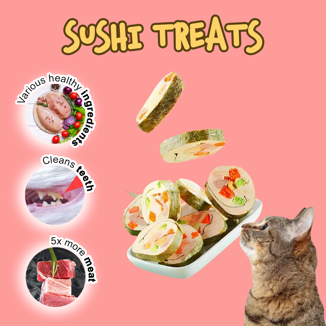 Treat Time Bundle