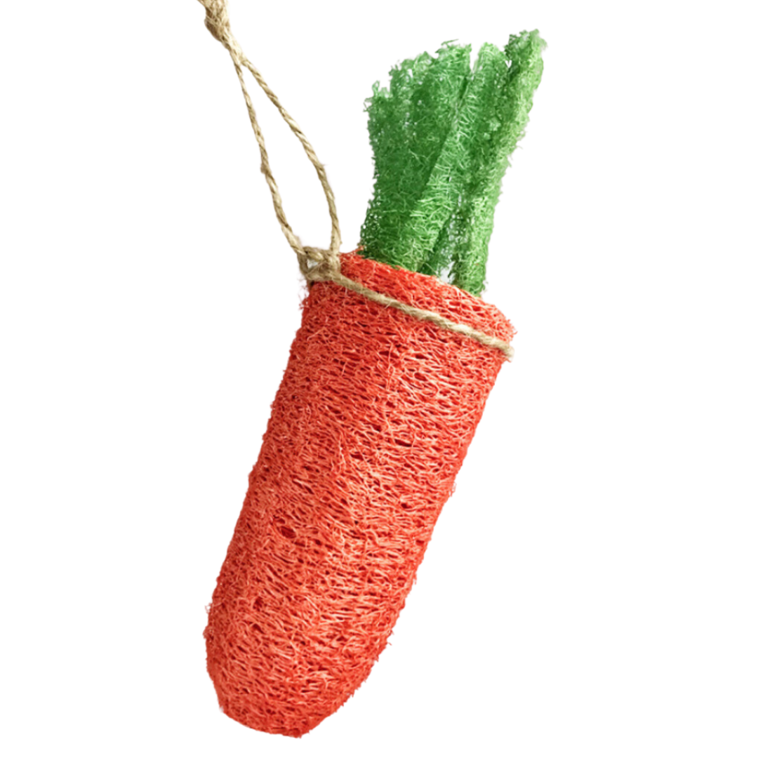 Carrot Loofah