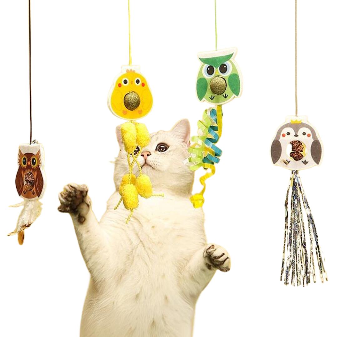 Dangling Catnip Toy (Set of 4)