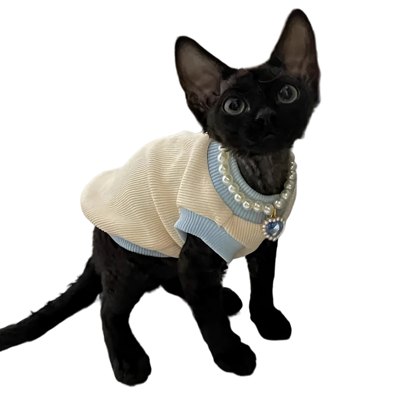Cat Pearl Collar