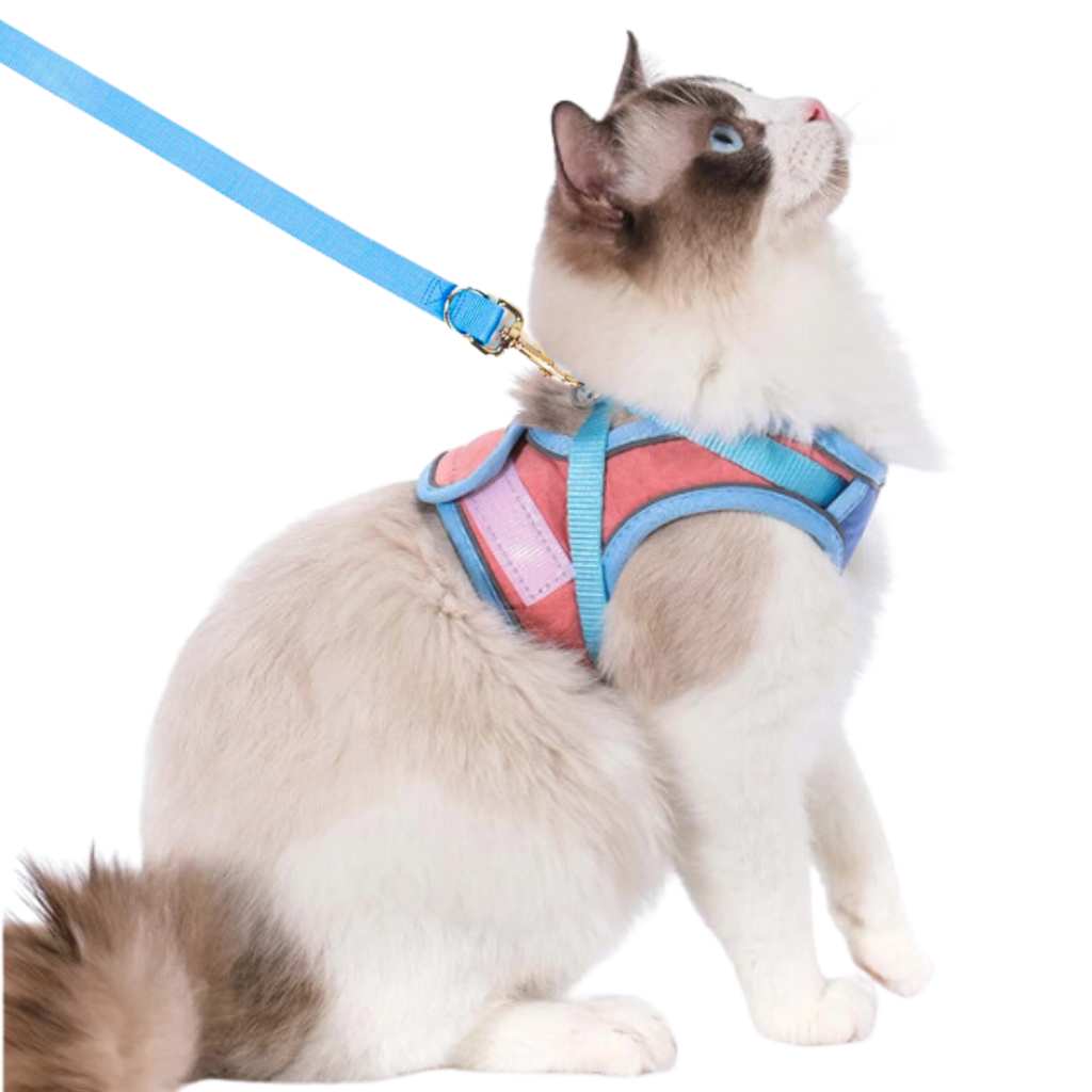 Pet clever cat harness hotsell