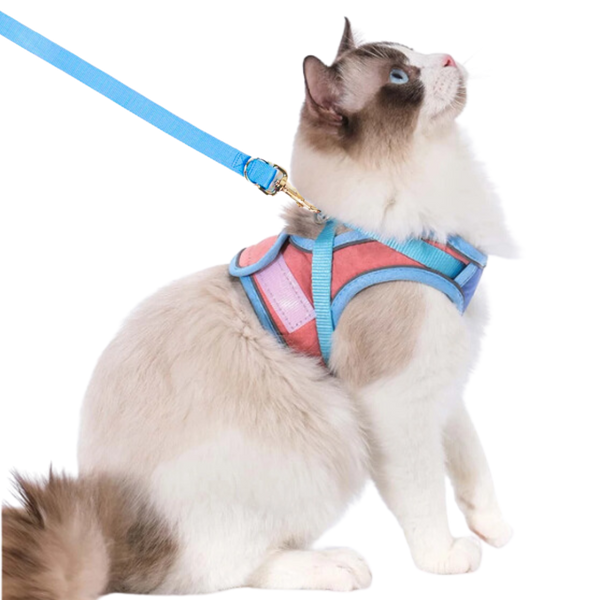 Cat Harness & Leash