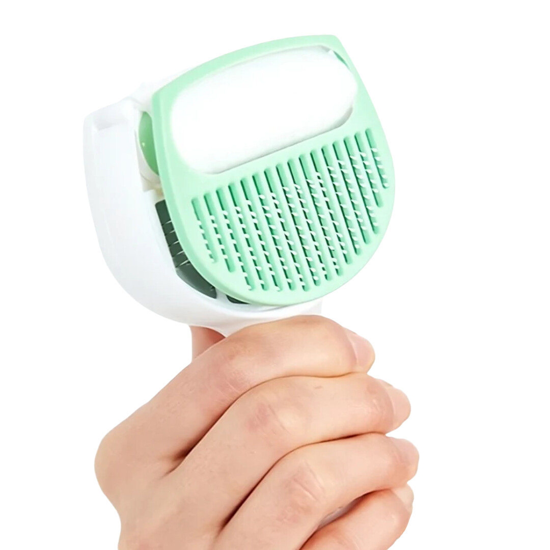 Easy Cleaning Brush