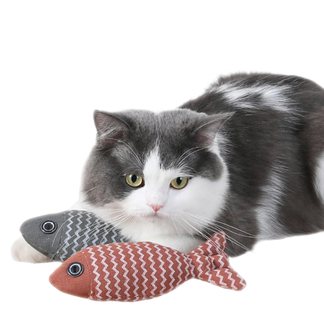 Fish Catnip Toy