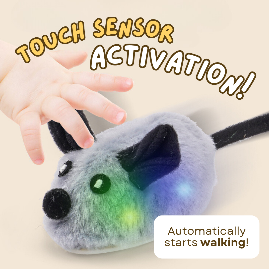 Smart Mouse Toy