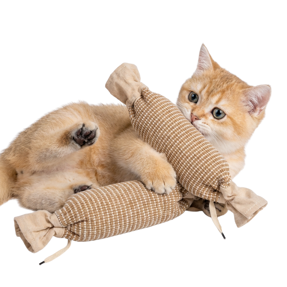 CandyKick 2 Packs - Most Popular