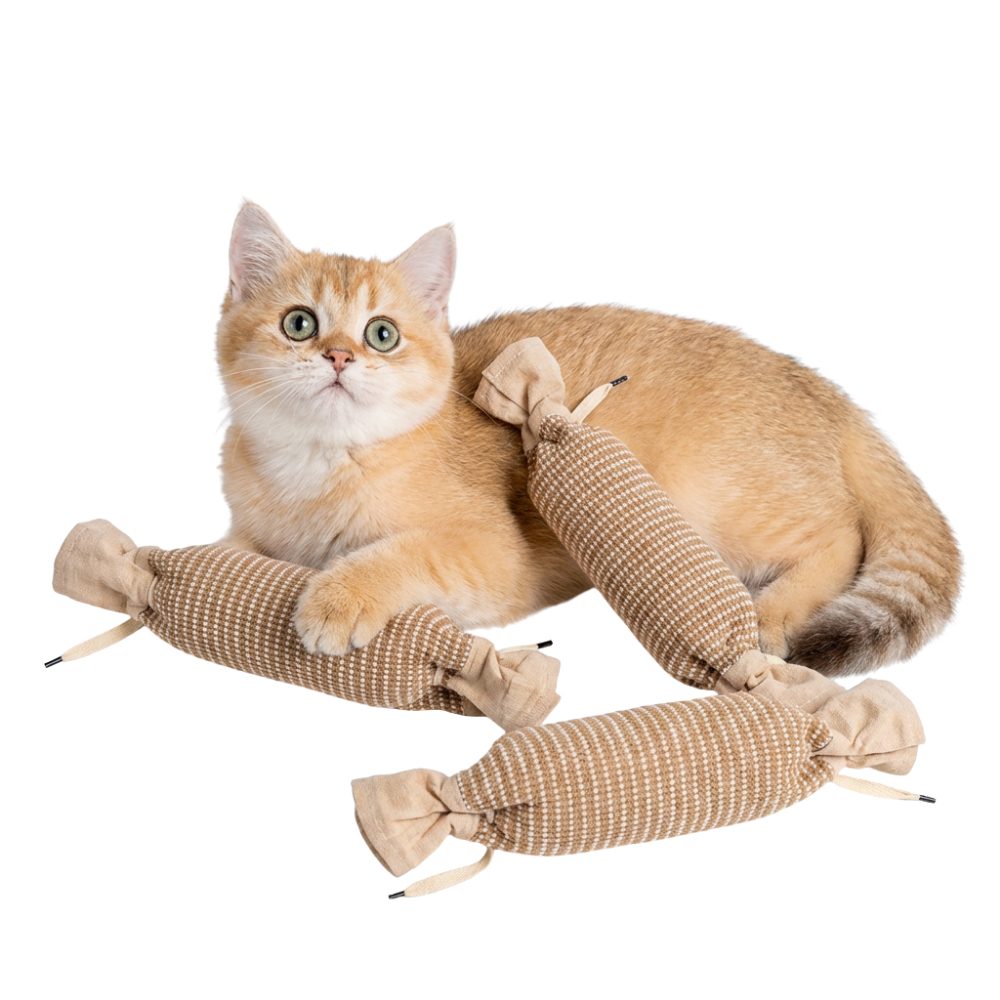 CandyKick 3 Packs - Best Value