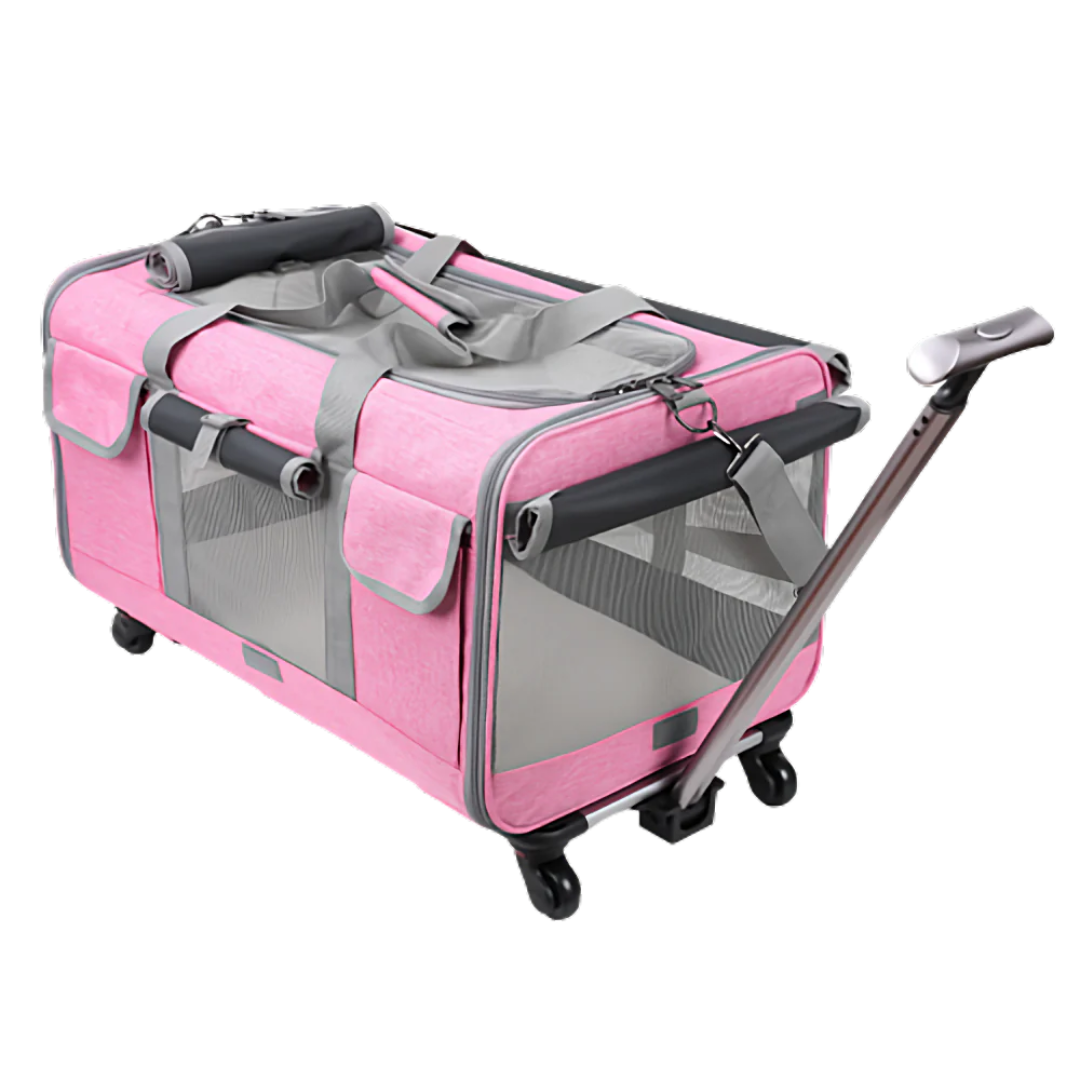 Cat Luggage