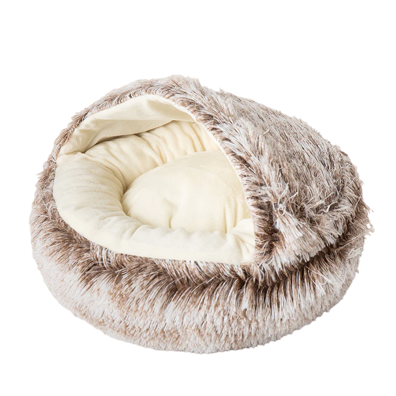 Seashell Bed