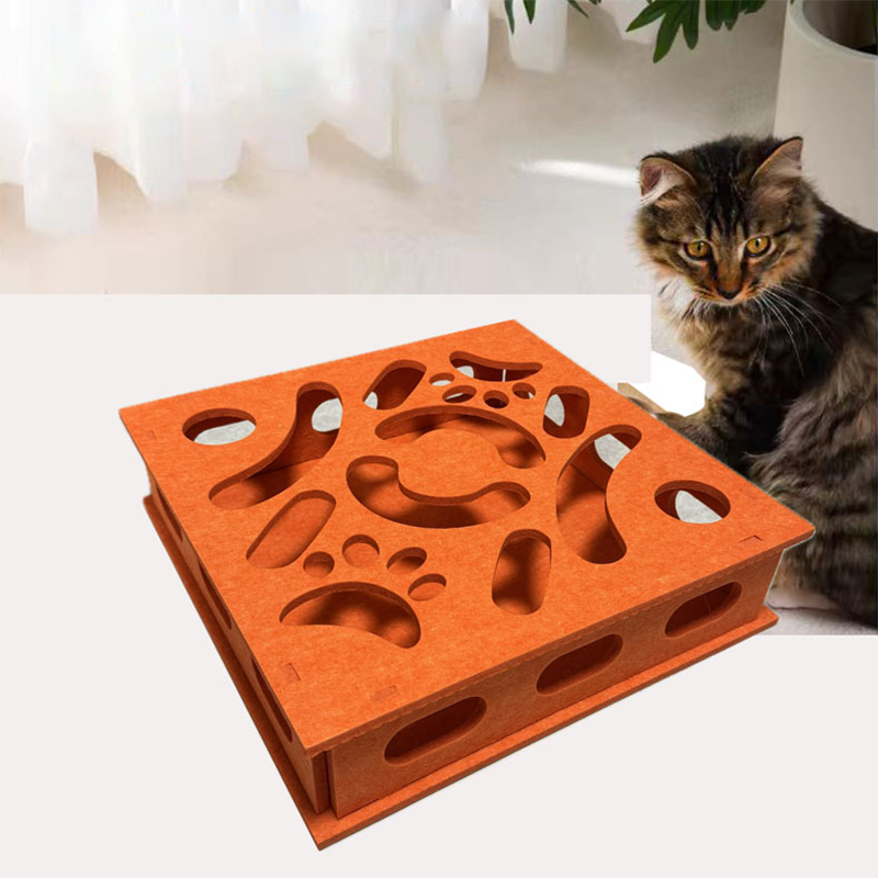 Cat Maze Box