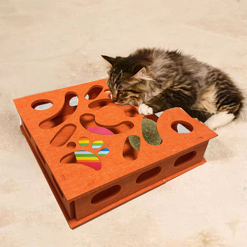 Cat Maze Box