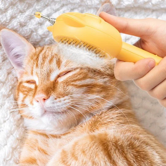 Cat brush shop toy
