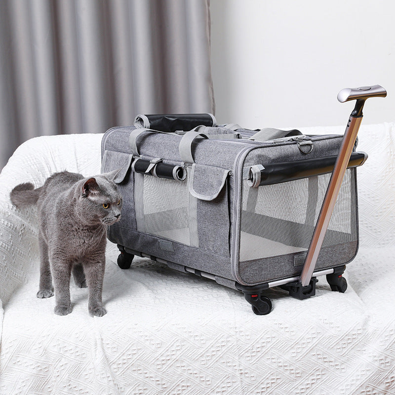 Discover more than 158 cat trolley bag review super hot esthdonghoadian