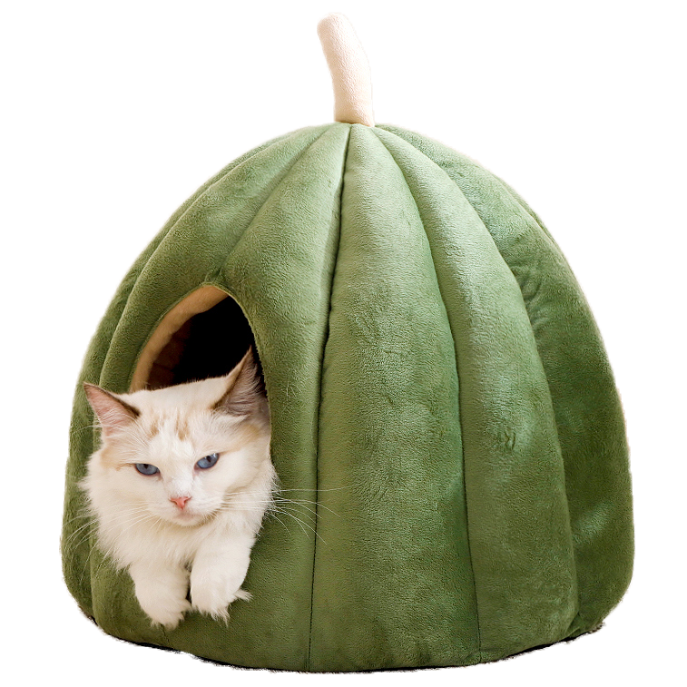 Pumpkin Cat Cave